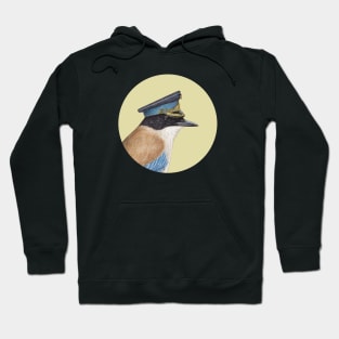 Azure-winged magpie Hoodie